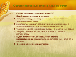 Бизнес план организация мини фермы по выращиванию гусей, слайд 19