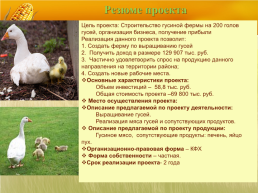 Бизнес план организация мини фермы по выращиванию гусей, слайд 2