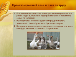 Бизнес план организация мини фермы по выращиванию гусей, слайд 20