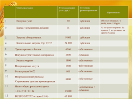 Бизнес план организация мини фермы по выращиванию гусей, слайд 21