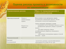 Бизнес план организация мини фермы по выращиванию гусей, слайд 24