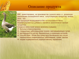 Бизнес план организация мини фермы по выращиванию гусей, слайд 4