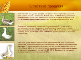 Бизнес план организация мини фермы по выращиванию гусей, слайд 5