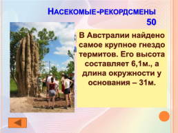 Рекорды Австралии. Географические рекорды Австралии. Рекорды Австралии 7 класс.