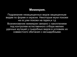 Возникновение адаптаций в результате естественного отбора, слайд 31