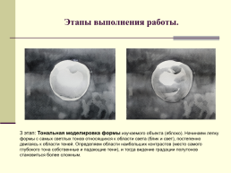 Применение техники гризайль на уроках живописи в 1-м классе по программе ДПП Живопись, слайд 19