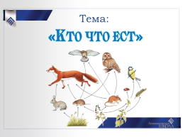 Билингвальный урок Кто что ест. Моделирование цепей питания. 3-й класс, слайд 7