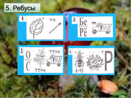 Открытый урок биологии на тему В царстве грибов. 5-й класс, слайд 27