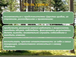 Открытый урок биологии на тему В царстве грибов. 5-й класс, слайд 4