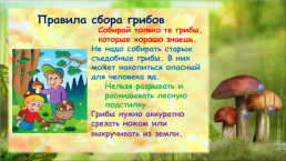 К уроку Окружающий мир по теме В царстве грибов. 3-й класс, слайд 23