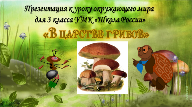 К уроку Окружающий мир по теме В царстве грибов. 3-й класс