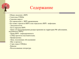 Проектно-исследовательская работа на тему «ВИЧ СПИДа», слайд 5