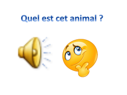 Урок французского языка в 5-м классе по теме Животные, слайд 10