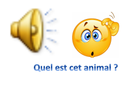 Урок французского языка в 5-м классе по теме Животные, слайд 11