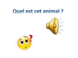 Урок французского языка в 5-м классе по теме Животные, слайд 12