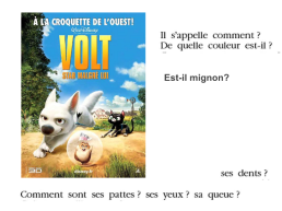 Урок французского языка в 5-м классе по теме Животные, слайд 17