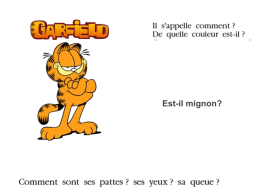 Урок французского языка в 5-м классе по теме Животные, слайд 18