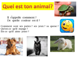 Урок французского языка в 5-м классе по теме Животные, слайд 19