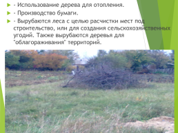 Экологические проблемы села Новая Усмань, слайд 11