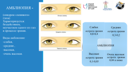 Развитие зрительно-пространственного восприятия у детей с нарушением зрения (амблиопия и косоглазие), слайд 3