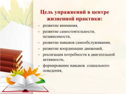 Развитие навыков самообслуживания у детей с ОВЗ в зоне практической жизни, слайд 4