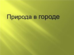 Конспект урока по окружающему миру Природа в городе, слайд 9