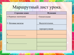 Урок окружающего мира по теме Кожа. Строение и функции кожи, слайд 12