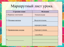 Урок окружающего мира по теме Кожа. Строение и функции кожи, слайд 16