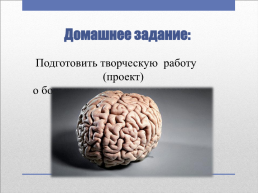 Головной мозг – главный командный пункт организма, слайд 30