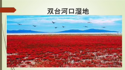 Бинарный урок английского и китайского языков по теме Проблемы окружающей среды в Кузбассе и Китае, слайд 14