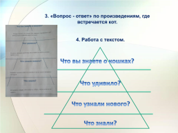 Образовательные путешествия как условие успеха каждого ребёнка, слайд 12