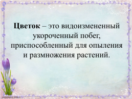 Урок по биологии Строение цветка, слайд 5