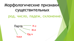 К видеоуроку по русскому языку Имя Существительное, слайд 9