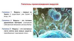 Презентация к уроку по биологии Вирусы. 10-й класс, слайд 26