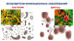 Презентация к уроку по биологии Вирусы. 10-й класс, слайд 6