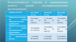 Программа дополнительного образования «Настольный теннис» (представление педагогического опыта), слайд 11