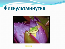 Методическая разработка урока «Жизнь земноводных весной» (окружающий мир, 1-й класс), слайд 16