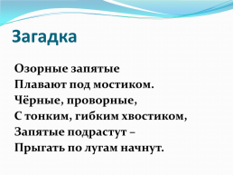 Методическая разработка урока «Жизнь земноводных весной» (окружающий мир, 1-й класс), слайд 18