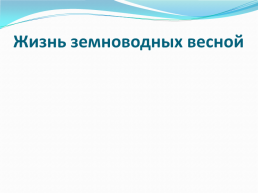 Методическая разработка урока «Жизнь земноводных весной» (окружающий мир, 1-й класс), слайд 3