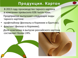 Производство бумаги на территории Иркутской области, слайд 8