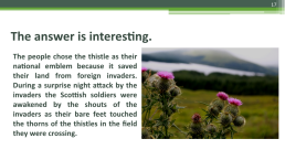 Конспект урока «Знакомство с Шотландией», слайд 17