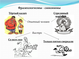 Удивительный мир фразеологизмов. Открытый урок, слайд 46