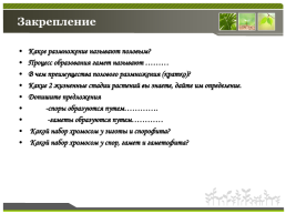 Способы размножения растений, слайд 33