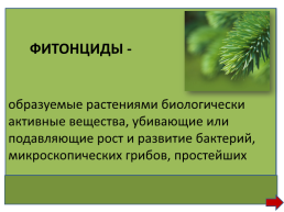 Естественнонаучный турнир для 9–10-х классов, слайд 7