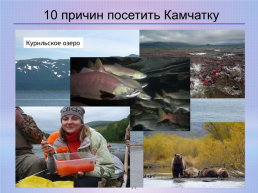Камчатка – прекрасный край земли русской, слайд 11