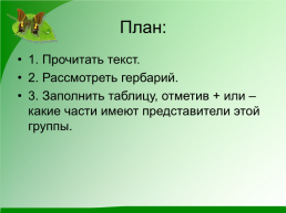 Разнообразие растений. 3-й класс, слайд 8