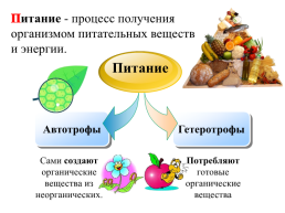 Питание растений, слайд 17