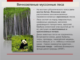 Путешествие по природным зонам мира, слайд 10