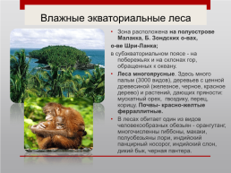 Путешествие по природным зонам мира, слайд 12