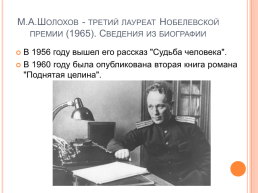 М.А.Шолохов - третий лауреат Нобелевской премии (1965). Сведения из биографии. Роман–эпопея «Тихий Дон» (обзор), слайд 17